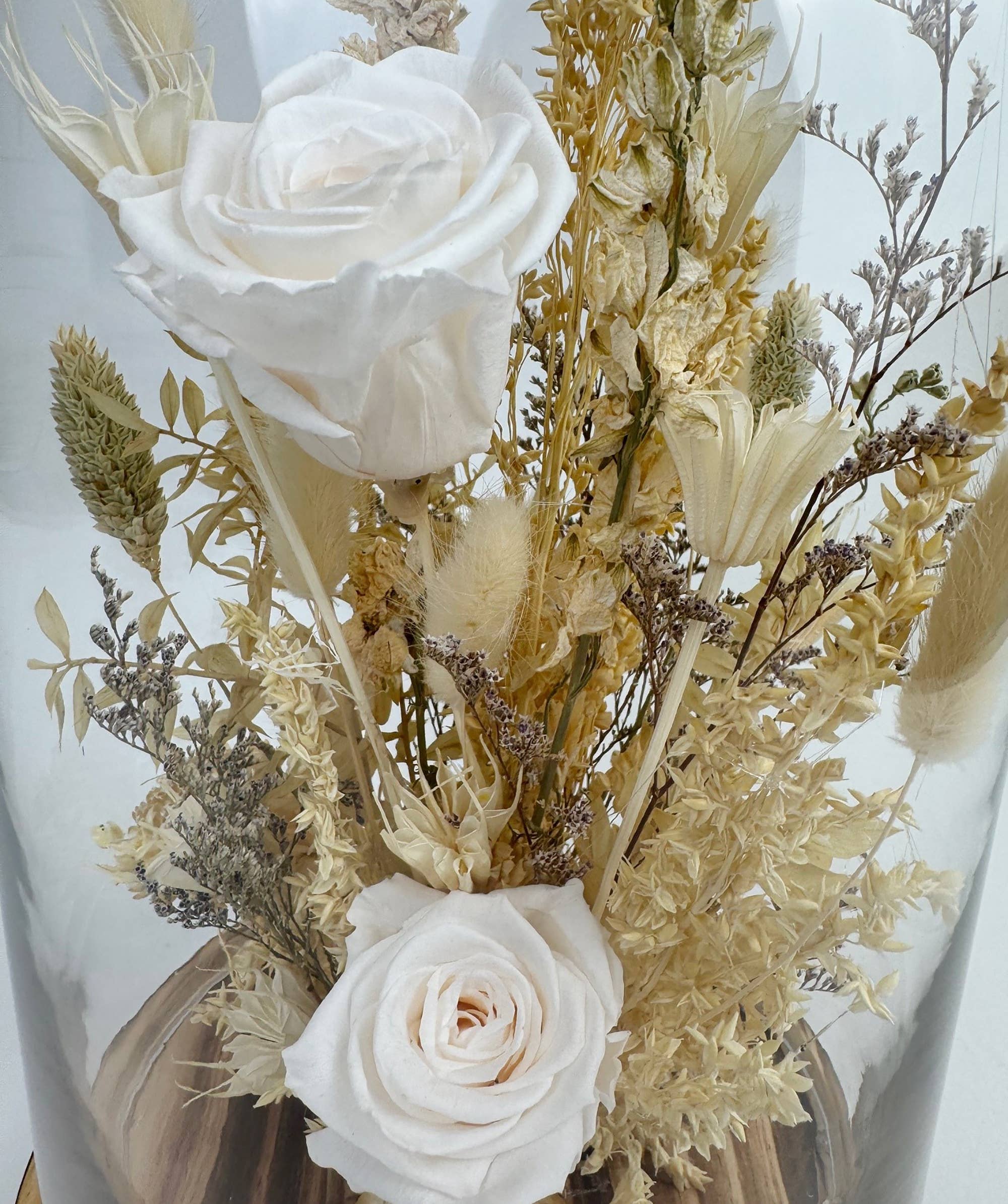 White Preserved Rose Cloche