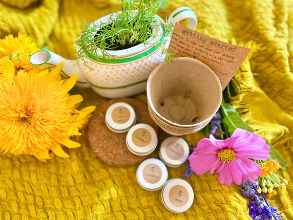 Herbal Tea Growing Kit - The Mayflower Florist