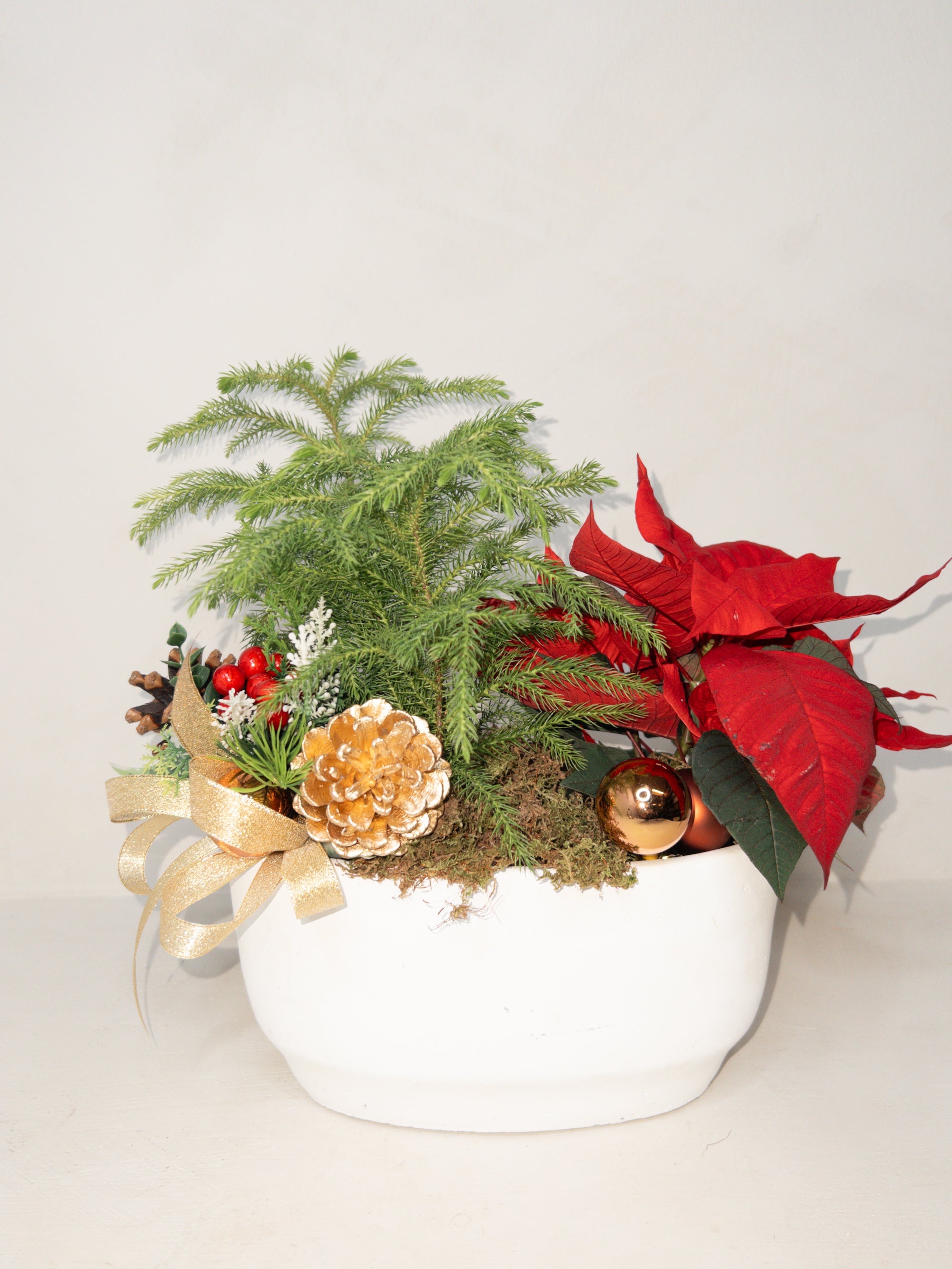 Petite Christmas Garden