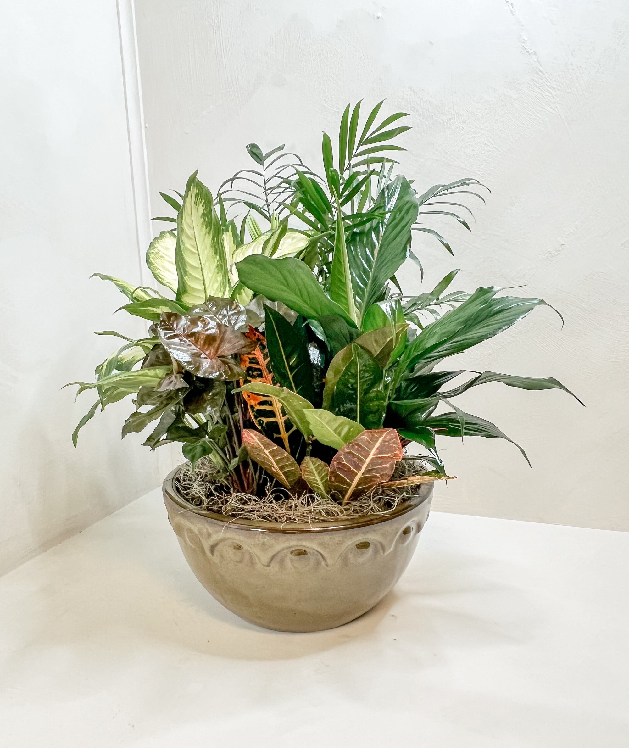 Large Dish Garden