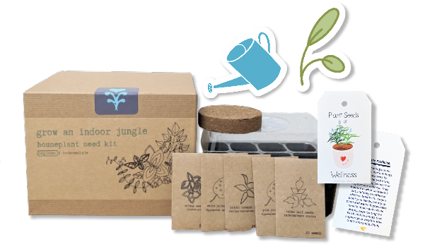 indoor plant kit gift Houseplant Growing Kit