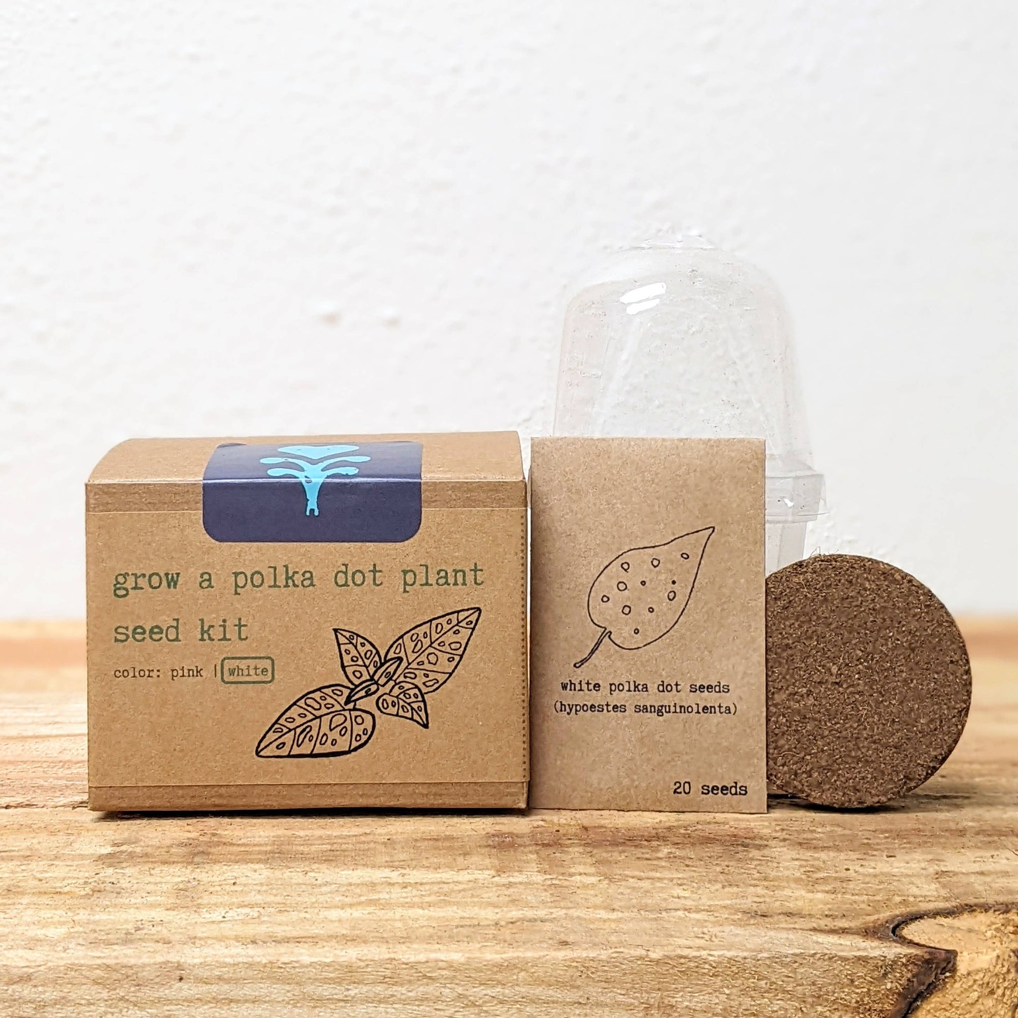 polka dot plant seeds Grow a Polka Dot Seed Kit White